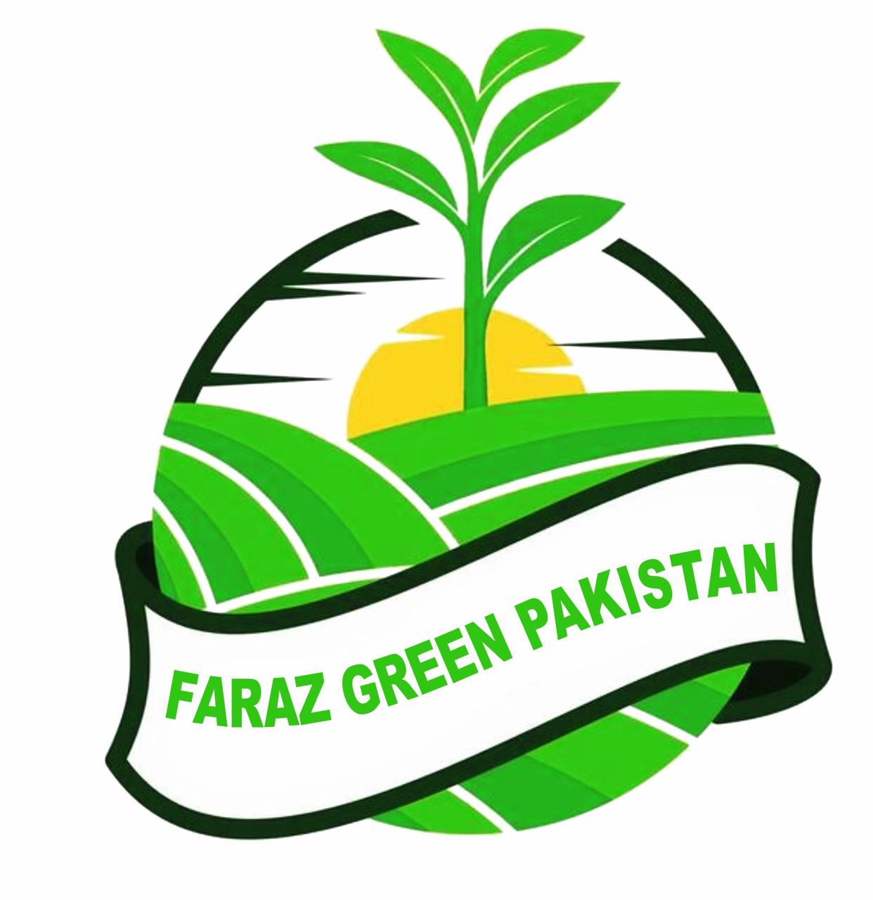Faraz Green